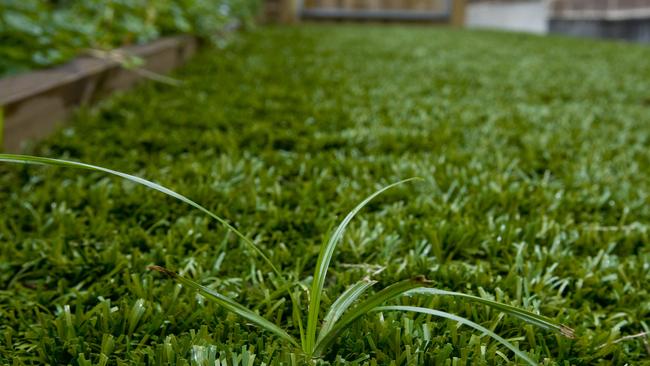 Artificial grass: “I am confident that our community does not want this,”Cr Hull said.