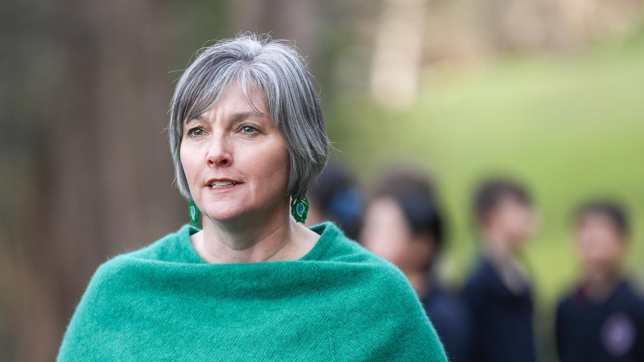 South Hobart Primary School Principal, Anne Reeves. Picture: Linda Higginson