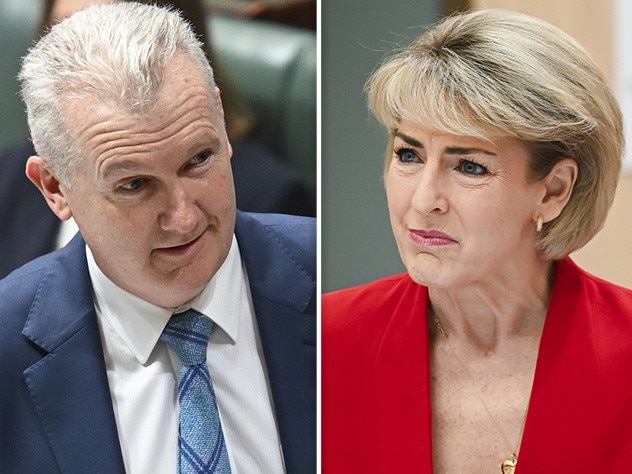 Michael Burke and Michaelia Cash.