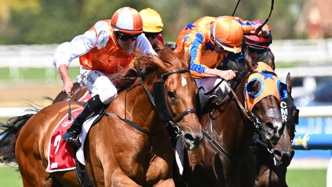 Vow And Declare and Campionessa are among Gilbert Gardiner’s horses to follow from Caulfield on Saturday. Picture: Vince Caligiuri/Getty Images