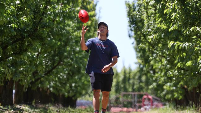 Josh Rachele at his orchard before getting drafted last year. Picture: Michael Klein.