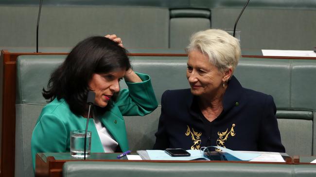 Besties ... Julia Banks and Dr Kerryn Phelps chat on the cross benche. Picture: Gary Ramage