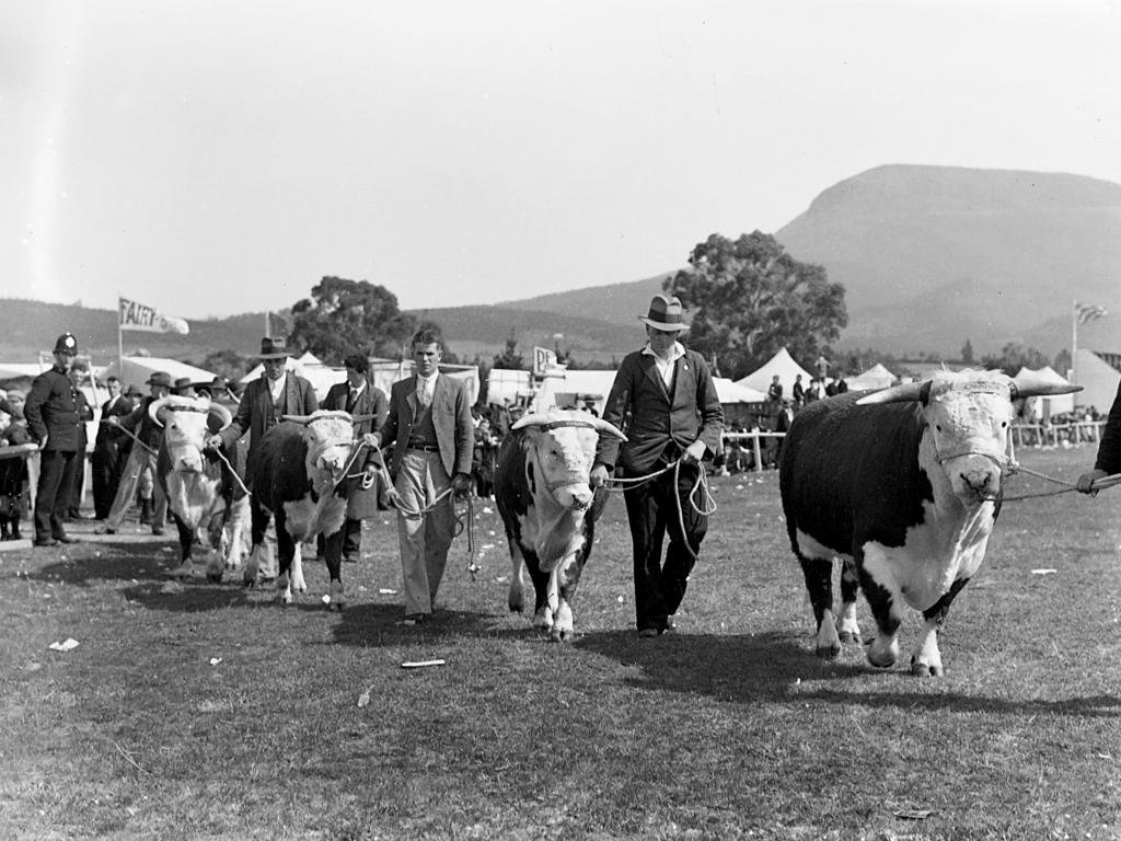 Mercury Archive historical file picture Royal Hobart Show.