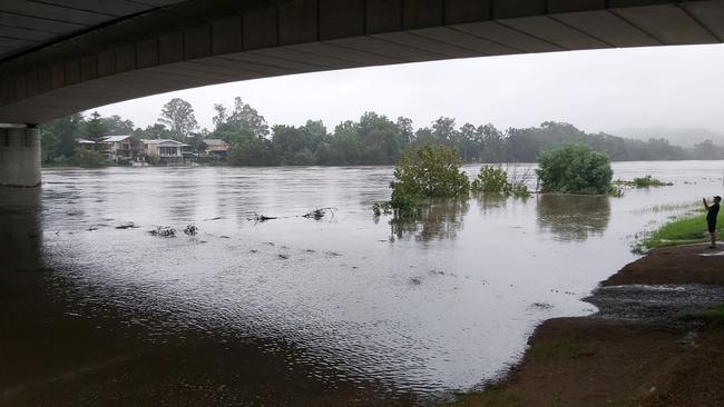 A man stopped to take photos of the Nepean River under the M4 bridge. Picture: Kelly Robinson