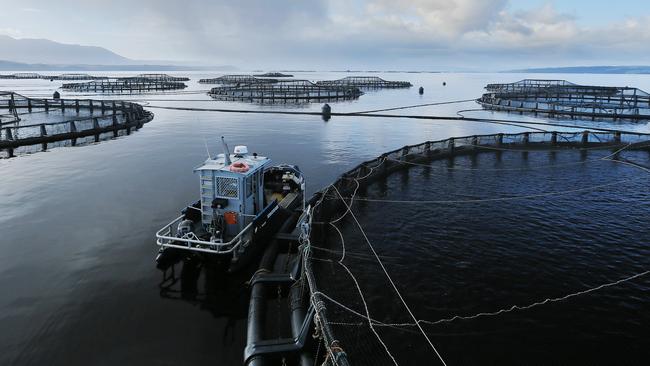 <s1>Tassal salmon pens in Macquarie Harbour, Strahan, on the west coast of Tasmania. </s1>                        <ld pattern=" "/>                        <source>Picture: MATTHEW FARRELL</source>                                             <source/>