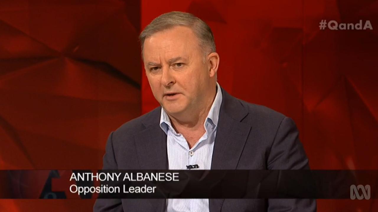 Opposition leader Anthony Albanese. Picture: ABC
