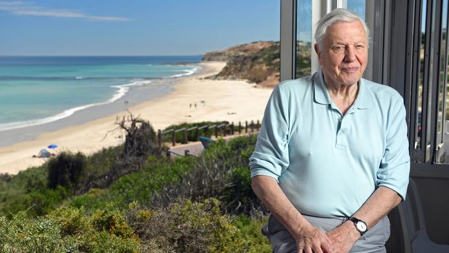 David Attenborough at Port Willunga in 2017. Picture: Tom Huntley