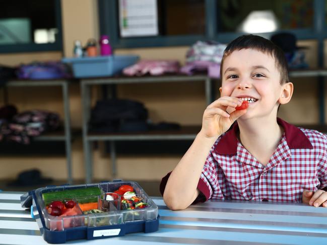 St Michael's grade one student Darcy Day, 6, is the Queensland winner of nationwide competition to find AustraliaÃs healthiest lunch box. Picture: Brendan Radke