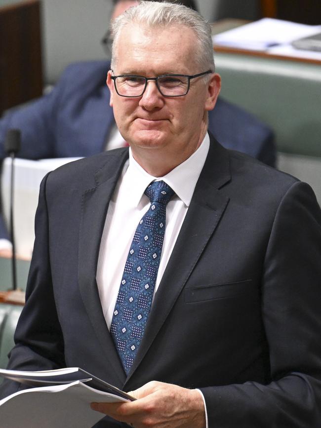 Home Affairs Minister Tony Burke. Picture: Martin Ollman/NewsWire