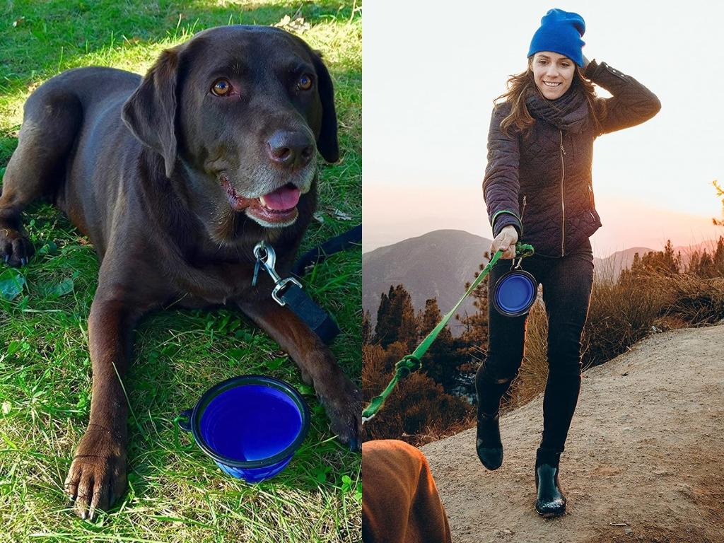 Zenify Collapsible Dog Bowl. Picture: Amazon Australia.