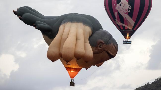 Artist Patricia Piccinini’s hot air balloon sculpture Skywhalepapa, along with the iconic Skywhale took to the skies over Canberra in March last year. Picture: NCA NewsWire / Gary Ramage