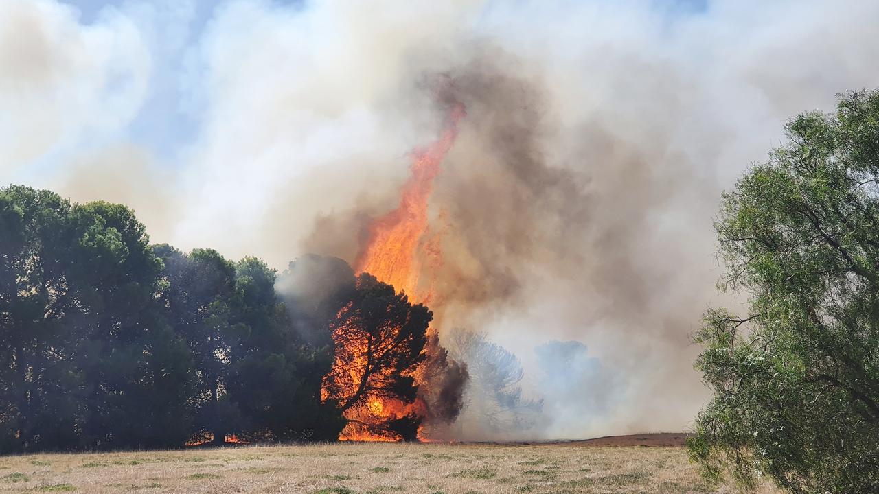A grass fire at Bolivar on the Port Wakefield Road has been contained. Picture: Paris Charles