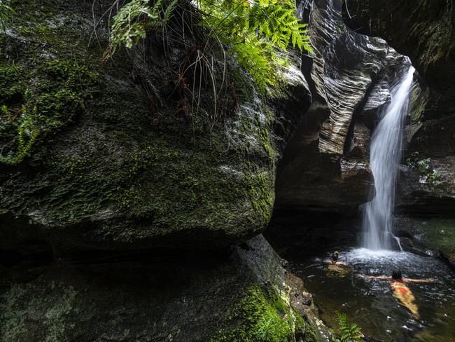 Lost Mountains’ George Kaplan said the group is here to stay despite the criticism.