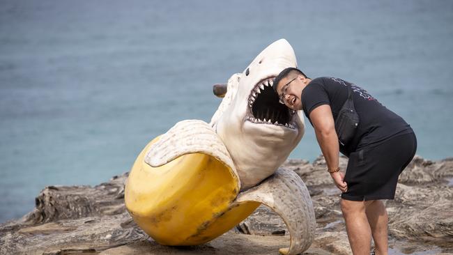 The Sharnana sculpture is simply ‘jawsome’. Picture: NewsWire / Jeremy Piper