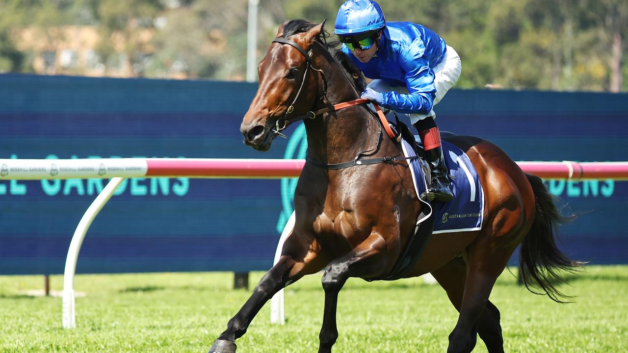 Godolphin’s Cox Plate broadside years in the making