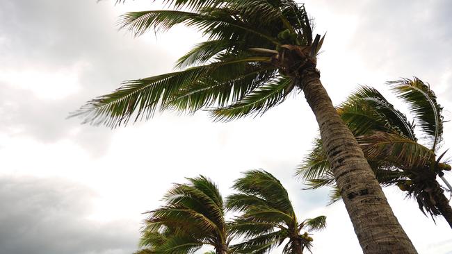 Over the past century we’ve had fewer cyclones, here and globally and Australia’s rainfall has increased, according to the Bureau of Meteorology.