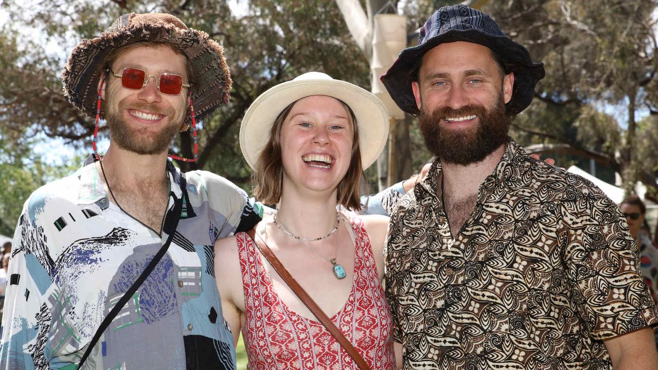 Harvest Rock II, day 2, Rymill Park, Adelaide. Picture: Emma Brasier