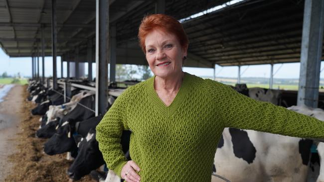 Pauline Hanson is set to target ‘left-leaning’ moderates with One Nation’s preferences in seats across the nation. Picture: Sean Bell