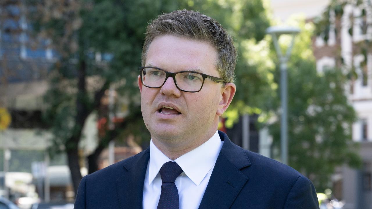 Health Minister Chris Picton said the government is boosting its funding to mental health NGO services. Picture: NCA NewsWire / Morgan Sette