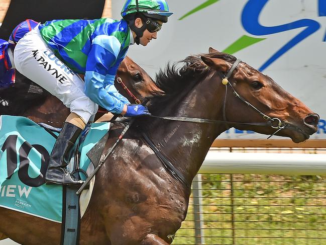 Michelle Payne wins Race 3 at Stawell. She ride three horses that she also trains at Stawell .Picture:Rob Leeson.