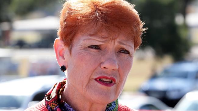 Pauline Hanson has plenty of haters, but she’s a survivor and airs issues that need to be raised. Picture: Peter Lorimer