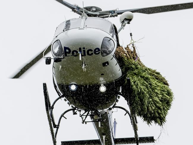 ### ON HOLD - SEE GCB FOR EMBARGO RESTRICTIONS ###Multiple police units attending and participating in  the Cannabis Eradication Program in Northern in NSW.  Polair 3 crew member Chris Tegart with  a crop of Canabis, picked up near the border with Byron Bay and Lennon Heads. Picture: Jerad Williams