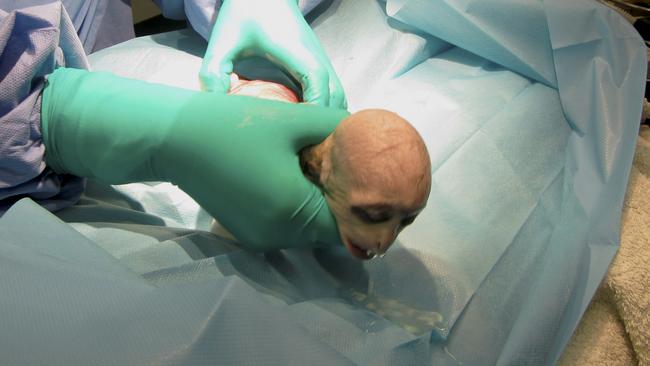 Baby voldemort on sale