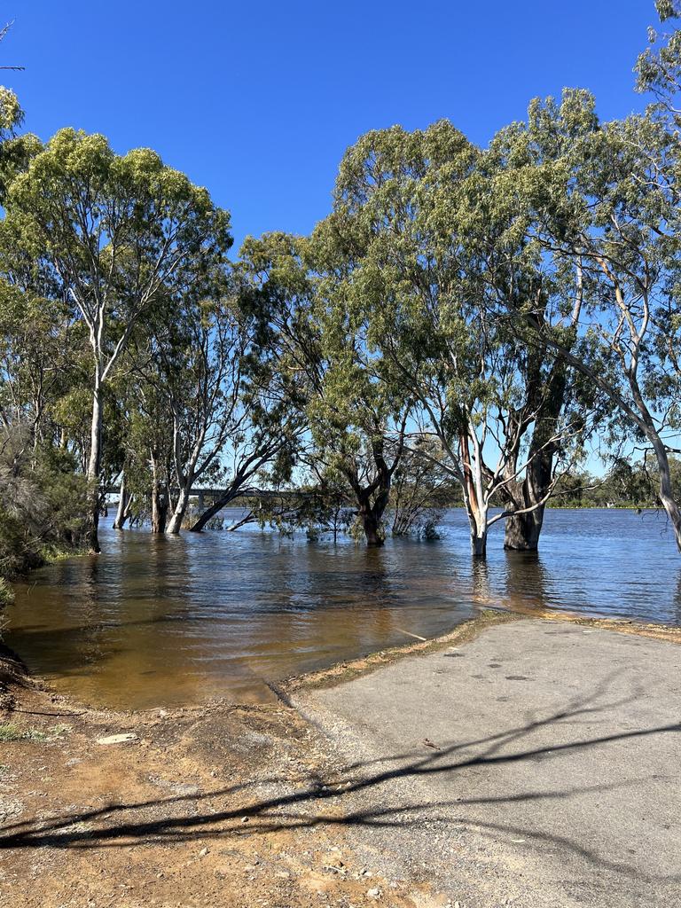 Blanchetown, Lock 1. Picture: Jo Schulz