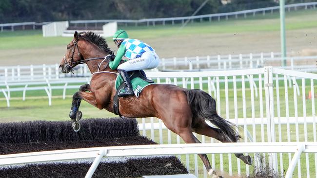 Stern Idol launches at a fence en route to victory in the Brierly Steeplechase at Warrnambool earlier this year. Photo: George Sal/Getty Images.