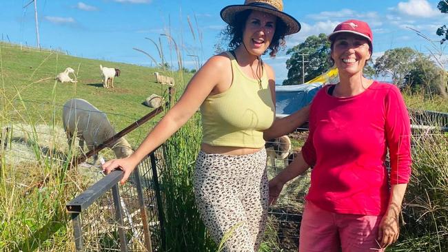 Luka Tremback with volunteer Amie San, giving their time to save wildlife and prevent animals from suffering from flooding. Picture: supplied