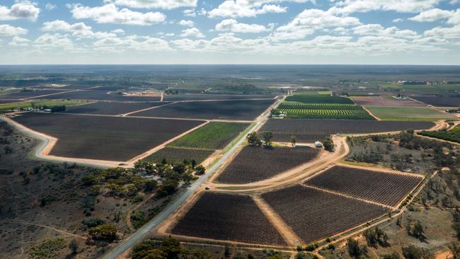 Duxton Vineyards are selling two NSW properties, priced at about $25,000 to $30,000 per hectare.