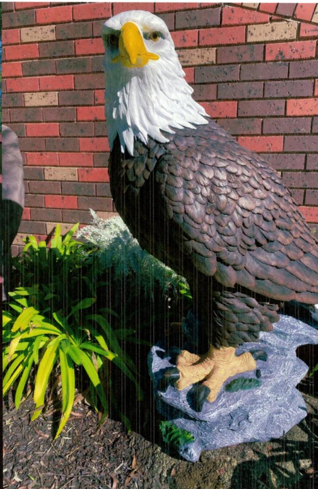 The eagle was stolen from the front yard. Picture: Supplied.