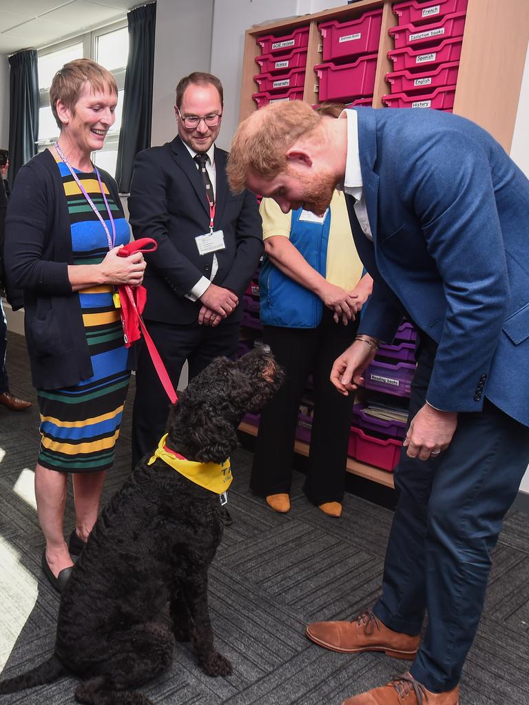 Harry then met Barney the therapy dog at Nottingham Academy. Picture: Eamonn M McCormack/Getty Images