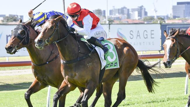 Progressive gelding Master Riley looks a good chance at Kembla. Picture: Bradley Photos