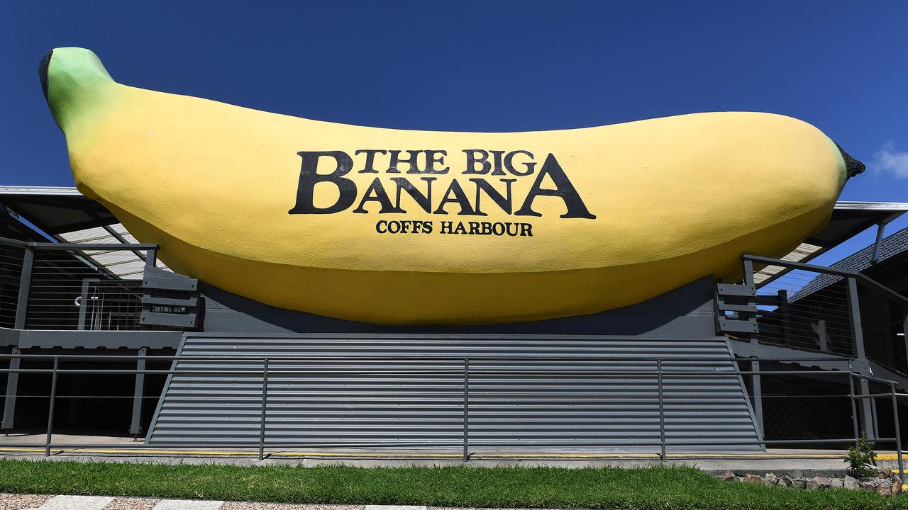 The Big Banana in Coffs Harbour could be killed by a new bypass. Picture: AAP Image/Dave Hunt.