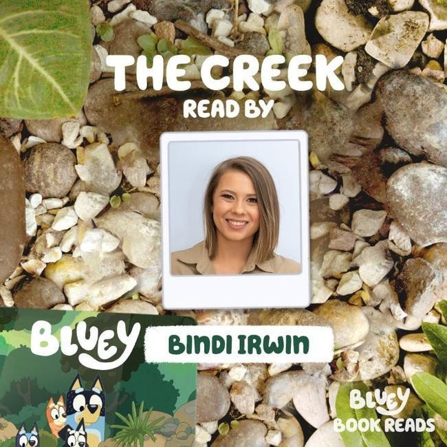 Bindi Irwin voiced an audiobook for The Creek, a fan favourite Bluey story. Picture: Instagram @officialblueytv