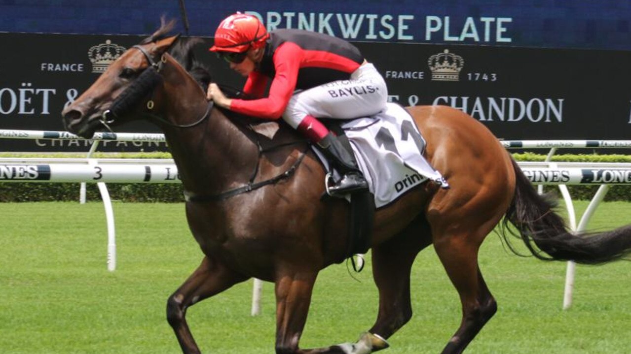 Russian Conquest is the horse to beat in the Magic Millions 3YO Guineas. Picture: Grant Guy