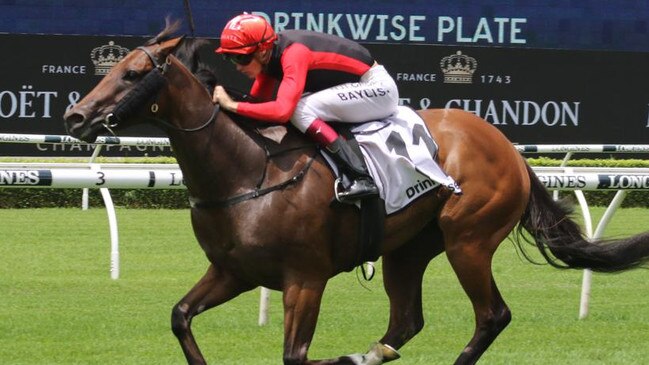 Russian Conquest is the horse to beat in the Magic Millions 3YO Guineas. Picture: Grant Guy