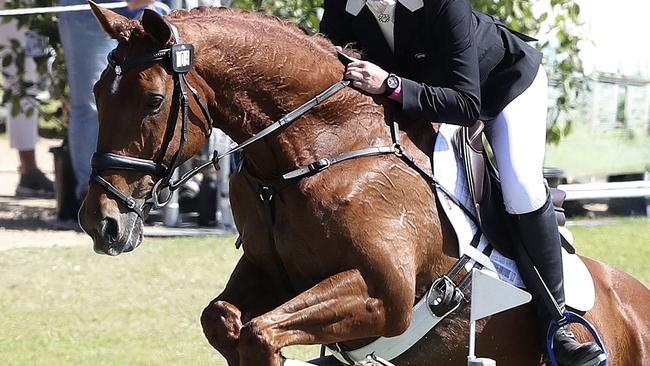 Equestrian Australia has been placed into voluntary administration. Picture: Sarah Reed