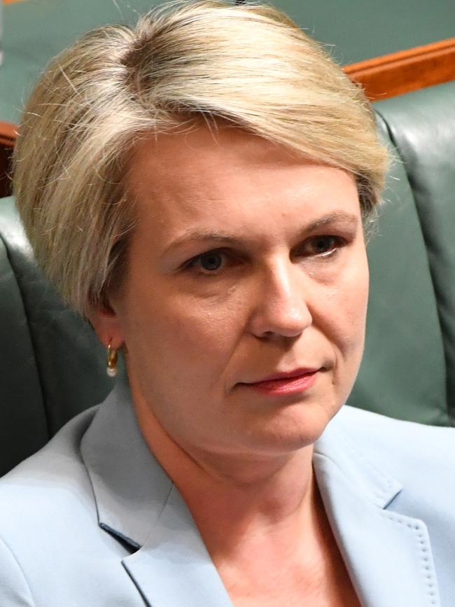 Opposition Education Spokesperson Tanya Plibersek. Picture: AAP