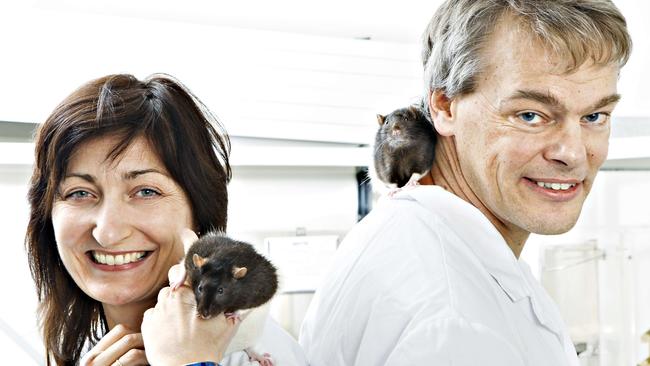 Inner GPS ... May-Britt Moser and Edvard Moser, pictured, jointly won the Nobel Prize for medicine with John O'Keefe. Picture: Geir Mogen