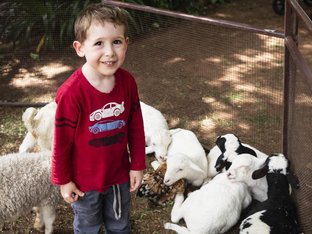 William Cooper with some animal friends in the petting zoo at the Fairholme Spring Fair, Saturday, October 19, 2024. Picture: Kevin Farmer