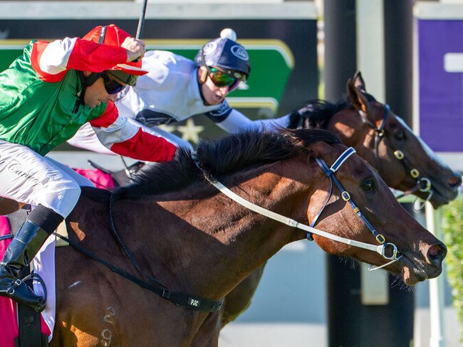 Overpass defeats Amelia's Jewel in a remarkable photo finish to the inaugural The Quokka Picture: Western Race Pix