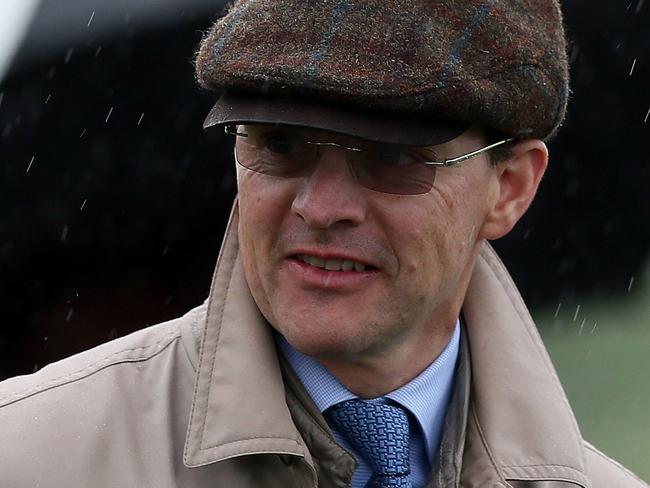 Trainer Aiden O'Brien in the parade ring after sending Leading Light ridden by Joseph O'Brien out to win the Coolmore Vintage Crop Stakes during the Coolmore Vintage Crop Stakes Day at Navan Racecourse, Navan.   (Photo by Brian Lawless/PA Images via Getty Images)