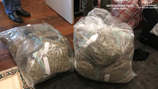 Cannabis allegedly located in Ridleyton. Picture: SAPOL