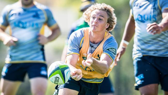 ACT Brumbies halfback Joe Powell. Picture: Supplied