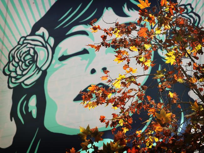 American street artist Shepard Fairey’s new mural on the side of a building in George St, Sydney. Picture: Toby Zerna