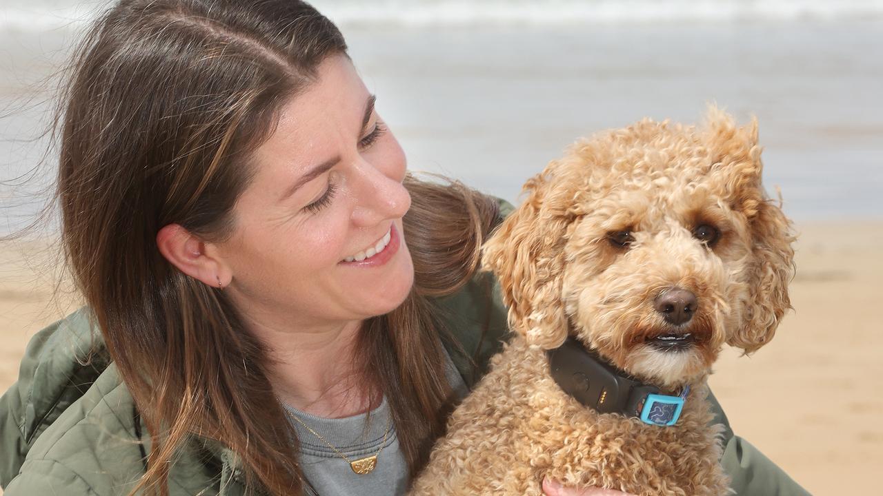 No more lost pets: Geelong biz’s smart solution