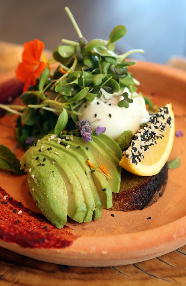 House made turmeric bread, free range eggs, sauteed organic greens, avocado, organic living sprout medley (GF, DF). Photo by Richard Gosling