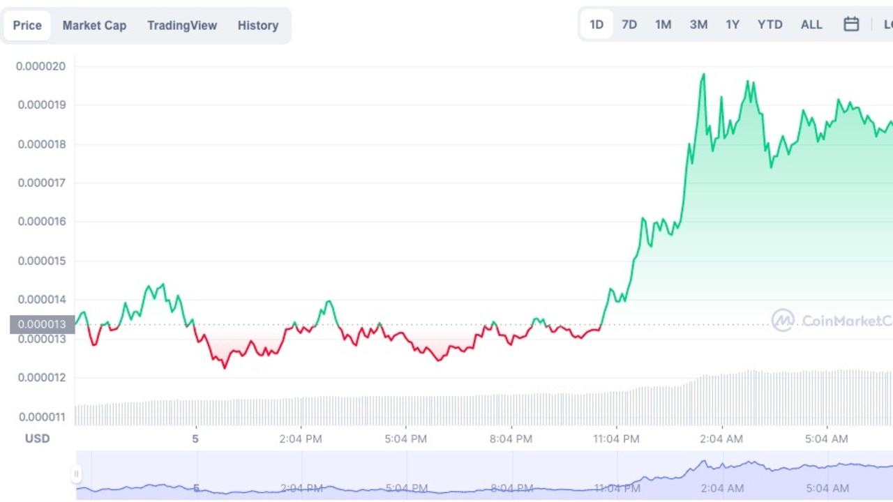 Shiba inu’s price over the last 24 hours. Picture: CoinMarketCap